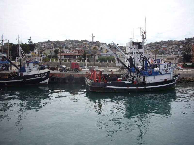 Fishing boats